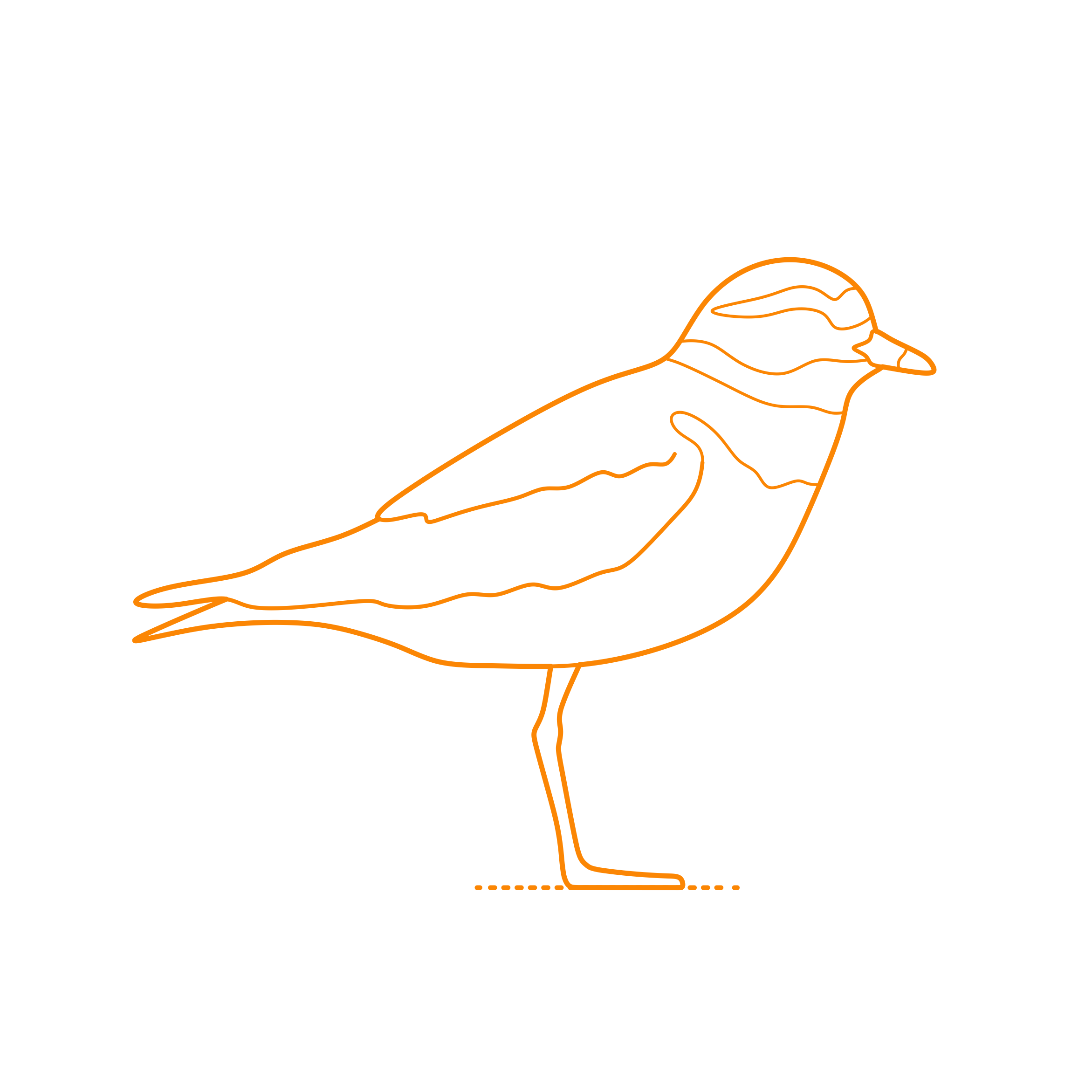 Animals Shorebirds Ringed Plover Svg Line Art Free Vectors